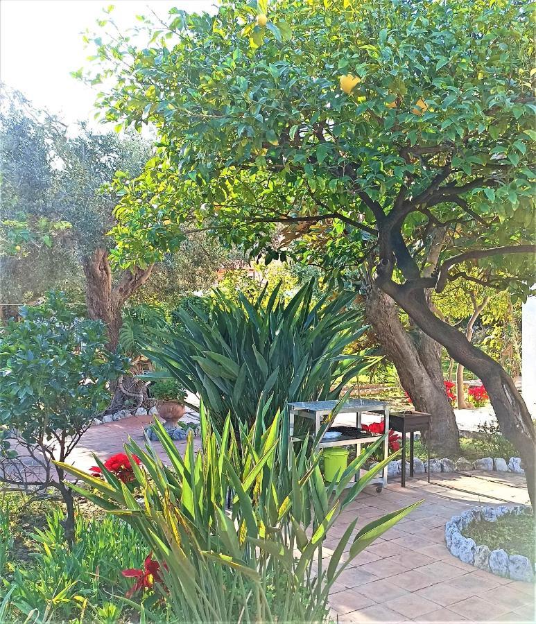Seafront Apartments Garden House Ταορμίνα Εξωτερικό φωτογραφία