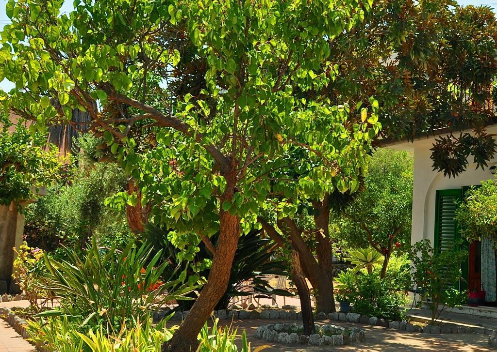 Seafront Apartments Garden House Ταορμίνα Δωμάτιο φωτογραφία