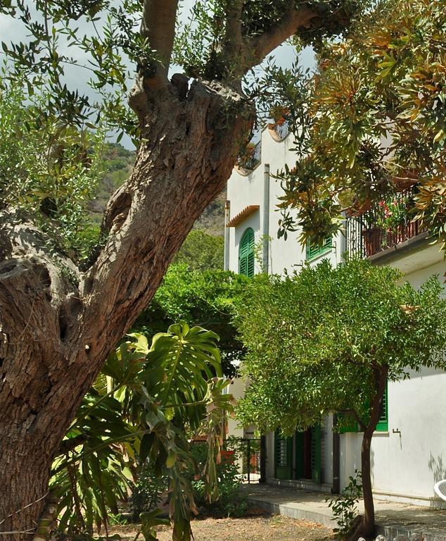 Seafront Apartments Garden House Ταορμίνα Δωμάτιο φωτογραφία