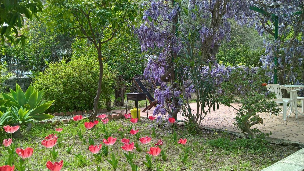Seafront Apartments Garden House Ταορμίνα Εξωτερικό φωτογραφία